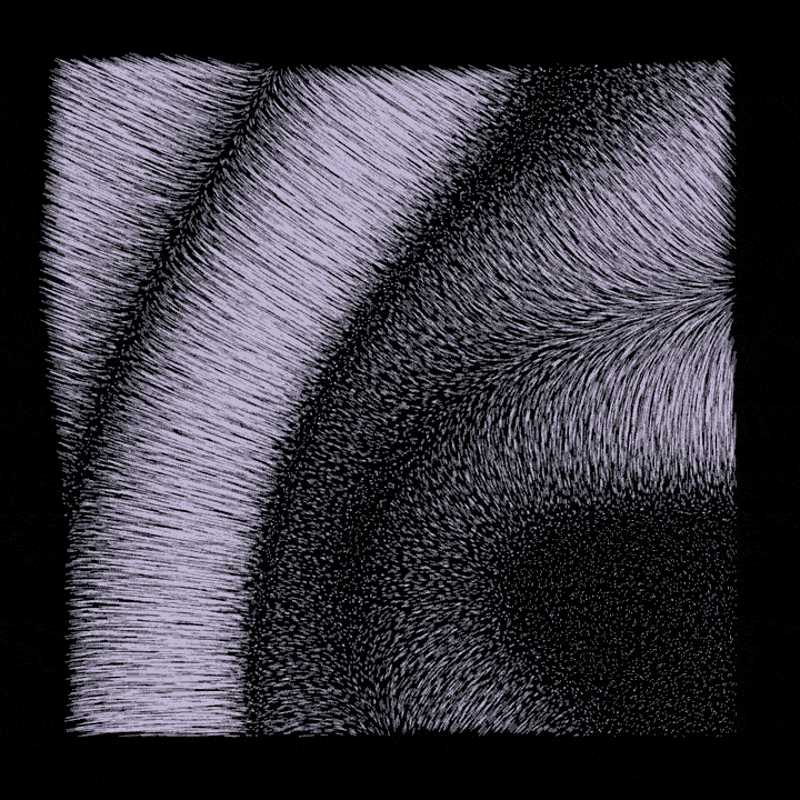 black and white loop GIF by roberthruska