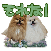 犬 Thats It Sticker
