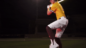 College Baseball GIF by Pearl River Athletics