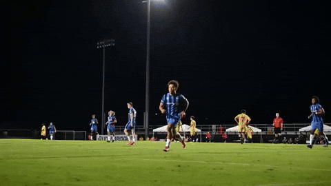 Usl2 Lbfc GIF by Lionsbridge FC