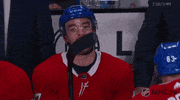 Ice Hockey GIF by NHL