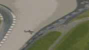 redbullracing france 2019 f1 french GIF