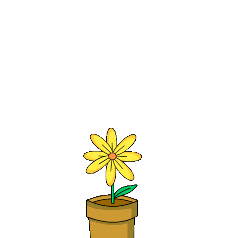 Oh Hello Flower Sticker by Pudgy Penguins