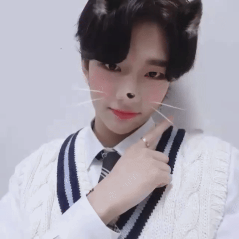 tamazin giphycreatortest stray kids skz straykids GIF