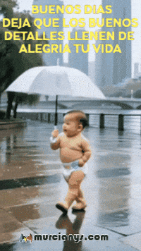 Feliz Amigos GIF by Murcianys LLC