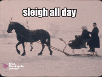 Horse Slay GIF by Fries Film & Audio Archief