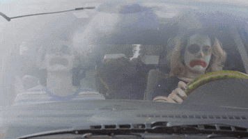 subpoprecords dogs skate windows sub pop GIF
