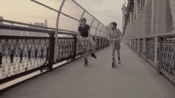 subpoprecords dogs skate windows sub pop GIF