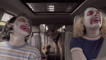 subpoprecords dogs skate windows sub pop GIF