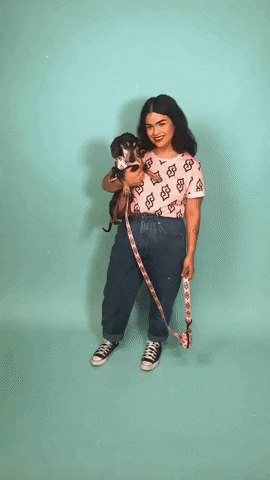 Twinning Wiener Dog GIF by beangoods