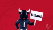 Get Up Nfl GIF by Houston Texans