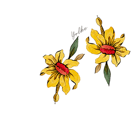 Flower Wildflowers Sticker by YOLKE