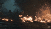 Video Game Burn GIF by XBOX