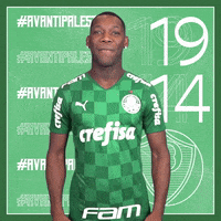 Soccer Futebol GIF by SE Palmeiras