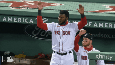 Regular Season Sport GIF by MLB
