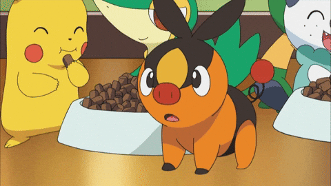 Fire Munching GIF by Pokémon