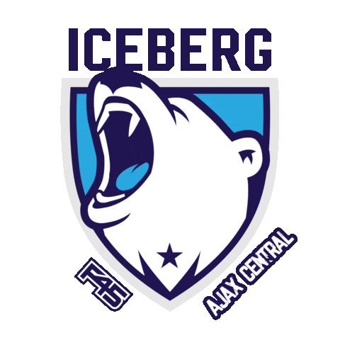 Iceberg F45 Training Sticker by F45 Ajax Central