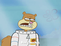season 4 episode 10 GIF by SpongeBob SquarePants