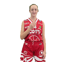 Basketball Sticker by Use Basket