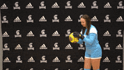 Wsuwarriors GIF by WinonaStateATH