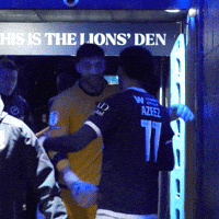 Celebration Hug GIF by MillwallFC