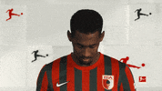 Happy Fc Augsburg GIF by Bundesliga