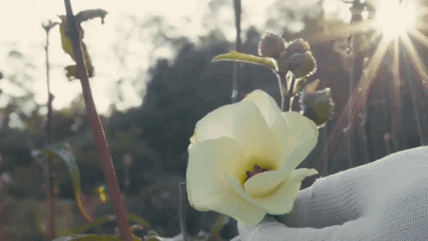 kyunghwanjung giphyupload GIF