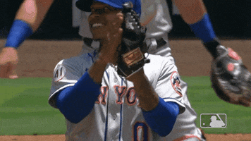 Ny Mets Clap GIF by New York Mets
