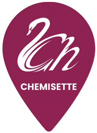Pin Fajas Sticker by Chemisette