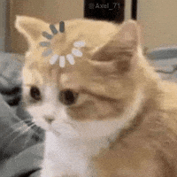 Let Me Think What GIF