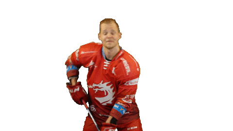 Ice Hockey Sticker Sticker by HC Oceláři Třinec