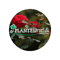 Logo Sticker by Plantetorvet.dk