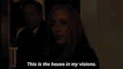 scully mulder GIF by The X-Files