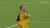 Soccer Futbol GIF by Brighton & Hove Albion Football Club