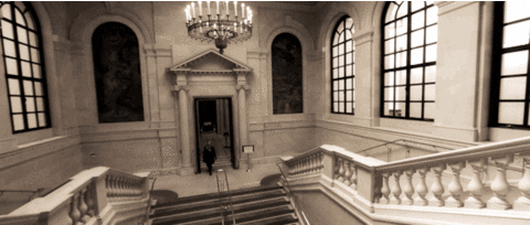 building stairs GIF by Harvard University