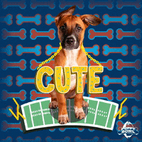 Football Dog GIF by Puppy Bowl