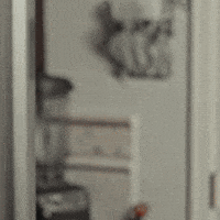 Party Home GIF by Sidral Mundet