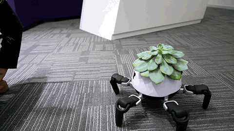 robot pot GIF