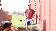 Tree Sweating GIF by JC Property Professionals