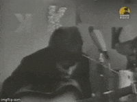 this is so weird set me free GIF