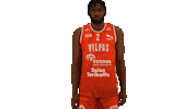 Sport Basketball Sticker by Basket_fi