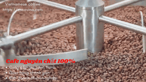cph19ab giphyupload coffee coffee bean vietnamese coffee GIF
