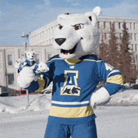 Polar Bear Nook GIF by University of Alaska Fairbanks