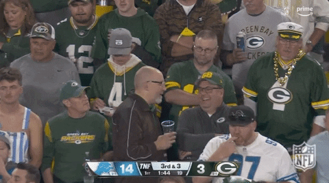 National Football League GIF by NFL