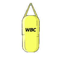 wbcboxinggiphy training boxing box punch Sticker