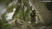 moreno donadoni isola 12 GIF by Isola dei Famosi