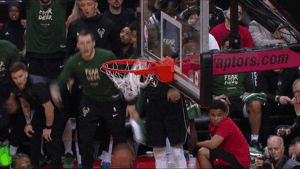 milwaukee bucks fun GIF by NBA
