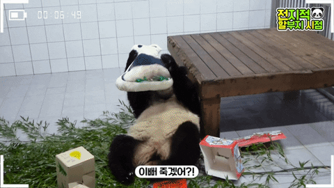 ehdgus1211 giphyupload GIF