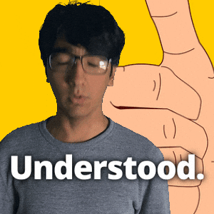 Grasp Understand GIF