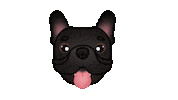 French Bulldog Sticker by zoopeez